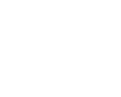 thedamar