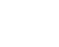 straumann
