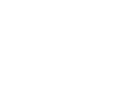 viessmann